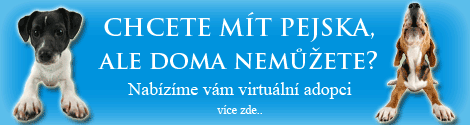 Virtuální adopce